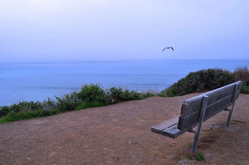 A bench on the side of a hill overlooking the ocean.